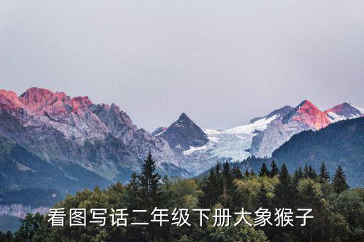 看圖寫話二年級下冊大象猴子
