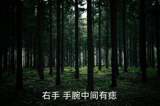 手腕有痣的女人,手腕內側有痣:一切都可以解決