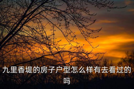 九里香堤的房子戶型怎么樣有去看過的嗎