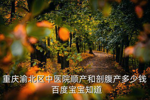 重慶市中醫(yī)院產(chǎn)科費用，重慶做無痛分娩大概費用多少