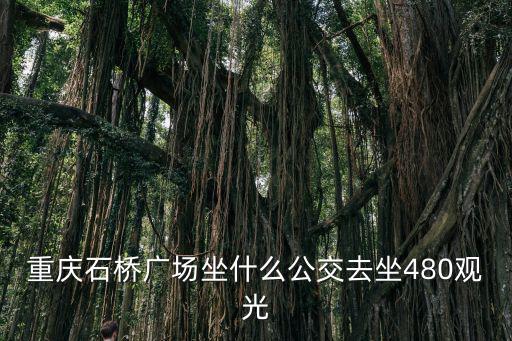 重慶石橋廣場坐什么公交去坐480觀光
