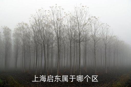 上海啟東屬于哪個(gè)區(qū)