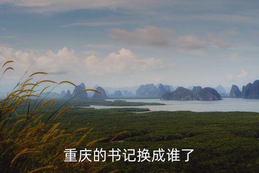 重慶市原書記有幾個，0205年誰是重慶市委書記是誰