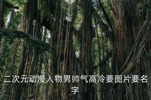 二次元動漫人物男帥氣高冷要圖片要名字