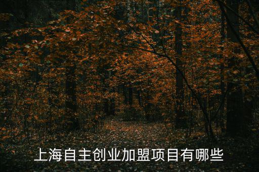 上海自主創(chuàng)業(yè)加盟項(xiàng)目有哪些