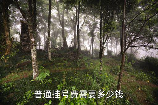 掛號費收費標準及細則，普通掛號費需要多少錢