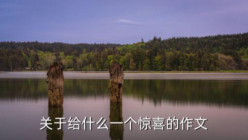 劉樹橋，給 一個驚喜的作文