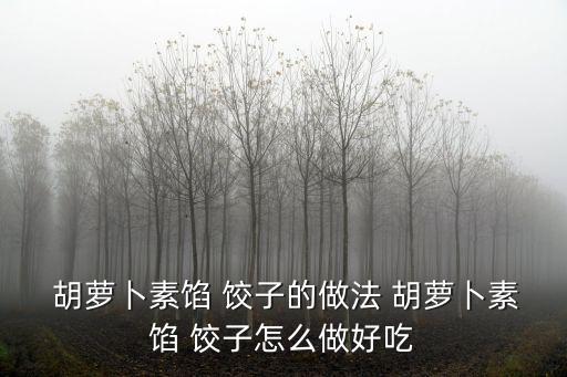  胡蘿卜素餡 餃子的做法 胡蘿卜素餡 餃子怎么做好吃
