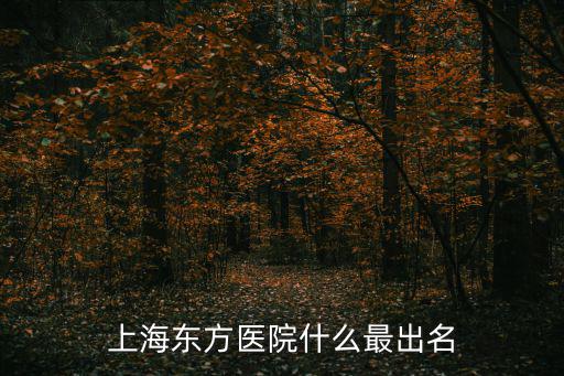 上海東方醫院排名第幾，誰知道 上海東方醫院屬于三甲醫院嗎
