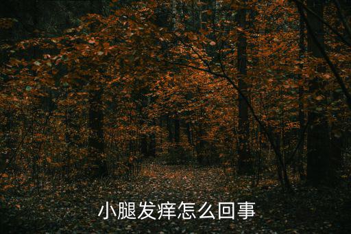  小腿發癢怎么回事
