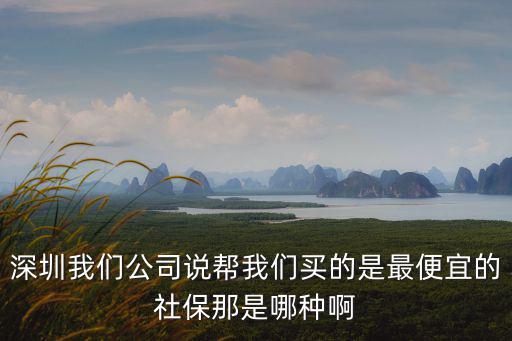 深圳我們公司說幫我們買的是最便宜的社保那是哪種啊
