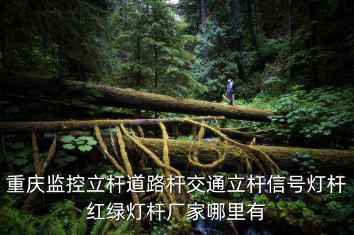 重慶監控立桿道路桿交通立桿信號燈桿紅綠燈桿廠家哪里有