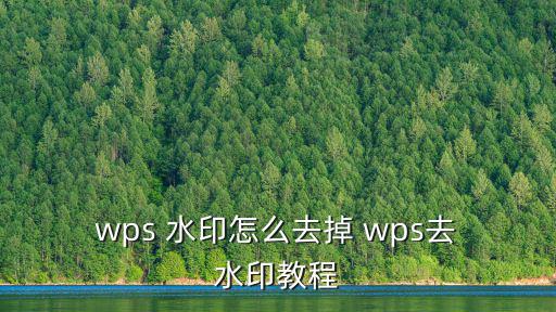  wps 水印怎么去掉 wps去 水印教程