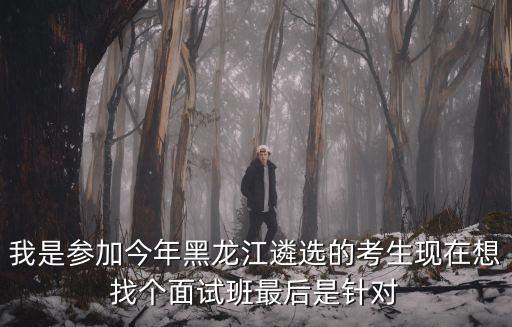 我是參加今年黑龍江遴選的考生現在想找個面試班最后是針對