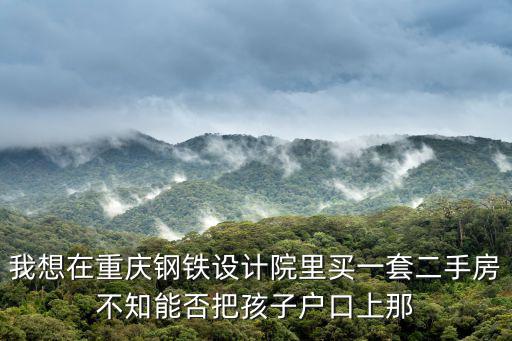 我想在重慶鋼鐵設計院里買一套二手房不知能否把孩子戶口上那