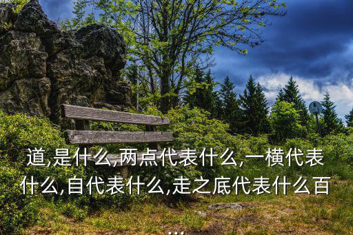 道,是什么,兩點代表什么,一橫代表什么,自代表什么,走之底代表什么百...