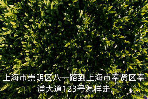 上海市崇明區(qū)八一路到上海市奉賢區(qū)奉浦大道123號怎樣走