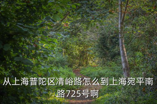 從上海普陀區凊峪路怎么到上海宛平南路725號啊