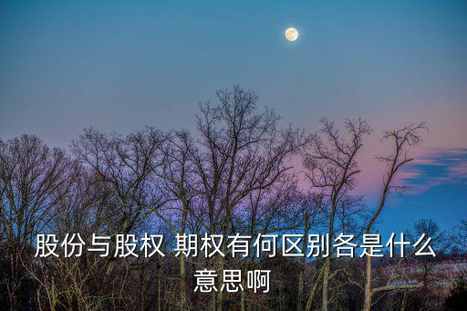 股份期權,股票期權交易所得利益