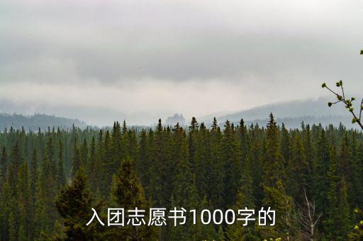 入團志愿書1000字的