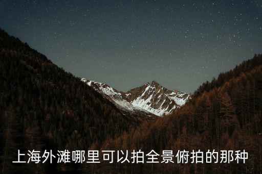 上海外灘哪里可以拍全景俯拍的那種
