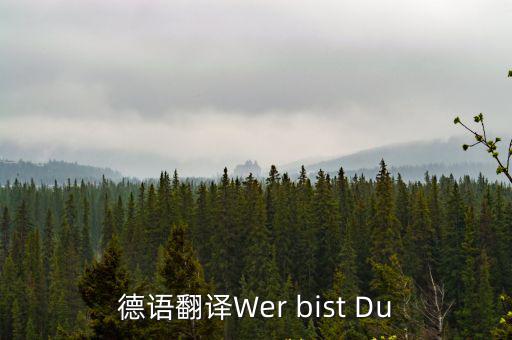 德語的英文，德語翻譯Wer bist Du