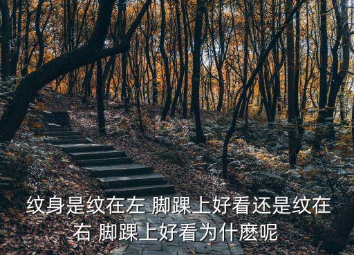 腳踝紋身圖案女,男生不會紋身花朵蝴蝶之類精美圖案