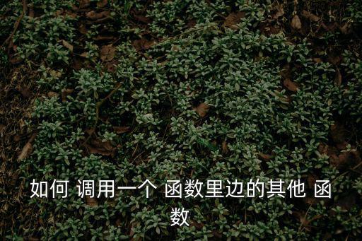 函數調用,程序中函數由調用ofof函數執行