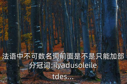 法語中不可數(shù)名詞前面是不是只能加部分冠詞:ilyadusoleiletdes...