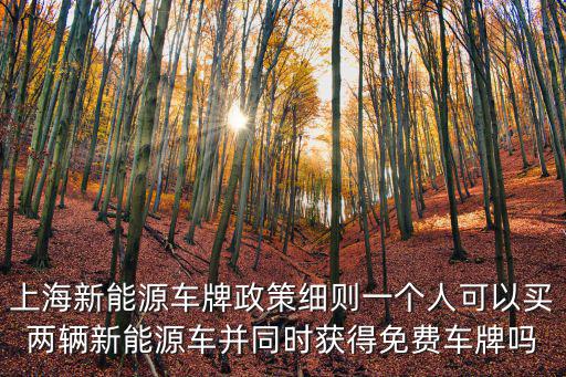 上海新能源車牌政策細則一個人可以買兩輛新能源車并同時獲得免費車牌嗎
