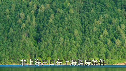非上海戶口在上海購房條件