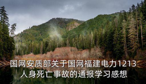 國網(wǎng)安質(zhì)部關(guān)于國網(wǎng)福建電力1213 人身死亡事故的通報(bào)學(xué)習(xí)感想