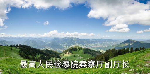 最高人民檢察院案察廳副廳長