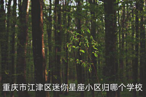 重慶市江津區紫云小學，江津出名一點的學校的聯系電話