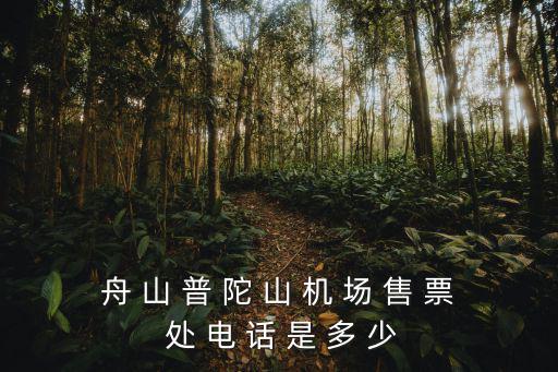 舟 山 普 陀 山 機 場 售 票 處 電 話 是 多 少