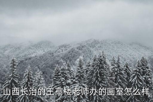 山西長治的王高樓老師辦的畫室怎么樣