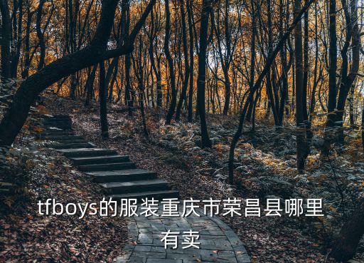 tfboys的服裝重慶市榮昌縣哪里有賣