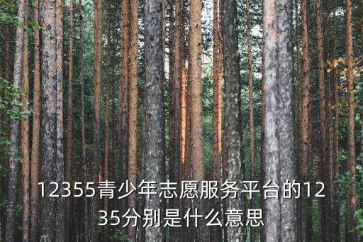 12355青少年志愿服務平臺的1235分別是什么意思