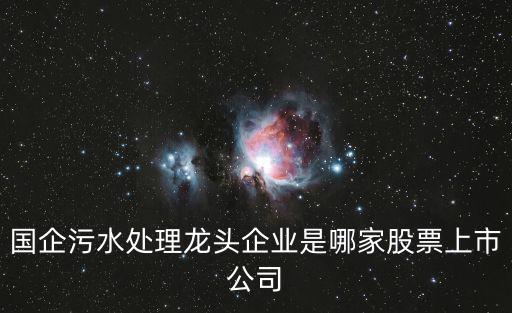 重慶市環衛集團屬于國企嗎，重慶市生態環境監測中心是國企還是私企