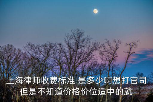 上海律師收費標準 是多少啊想打官司但是不知道價格價位適中的就