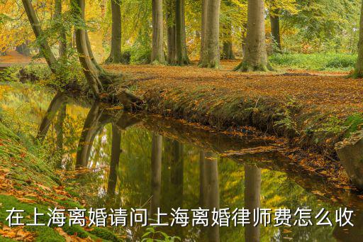 在上海離婚請問上海離婚律師費怎么收