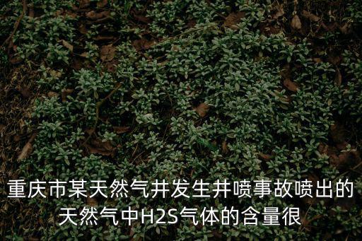 重慶市某天然氣井發生井噴事故噴出的天然氣中H2S氣體的含量很
