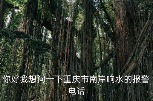 你好我想問一下重慶市南岸響水的報警電話