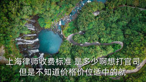 上海律師收費標準 是多少啊想打官司但是不知道價格價位適中的就