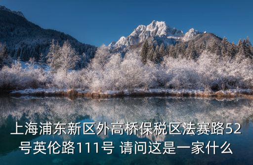 上海浦東劉海燕，上海浦東新區(qū)外高橋保稅區(qū)法賽路52號(hào)英倫路111號(hào) 請(qǐng)問這是一家什么