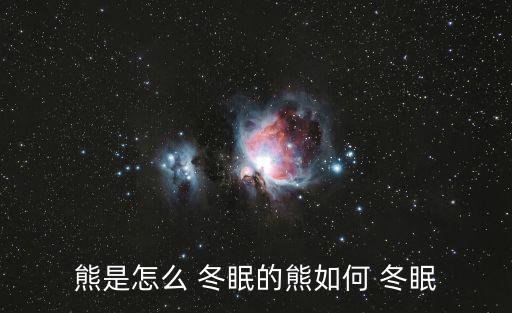 熊是怎么 冬眠的熊如何 冬眠