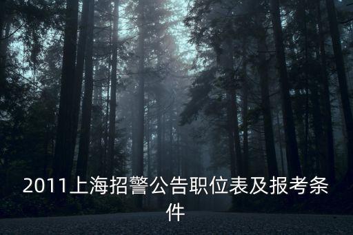 2011上海招警公告職位表及報考條件