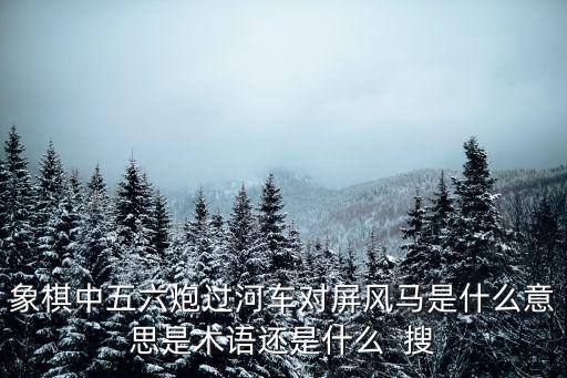 中炮對(duì)屏風(fēng)馬，中炮對(duì)屏風(fēng)馬