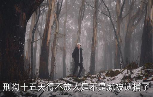 刑拘十五天得不放人是不是就被逮捕了