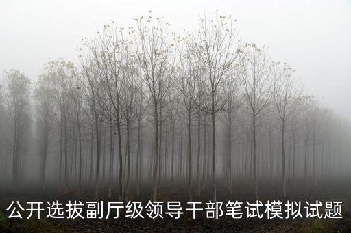公開選拔副廳級領導干部筆試模擬試題
